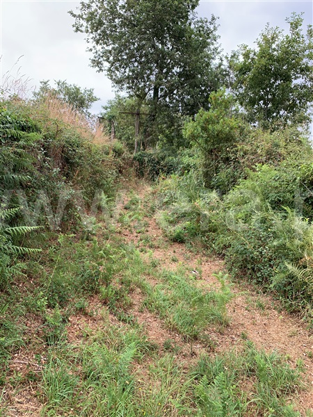 Terreno para Construção  Vila Verde, Pico - 1476502 - 8