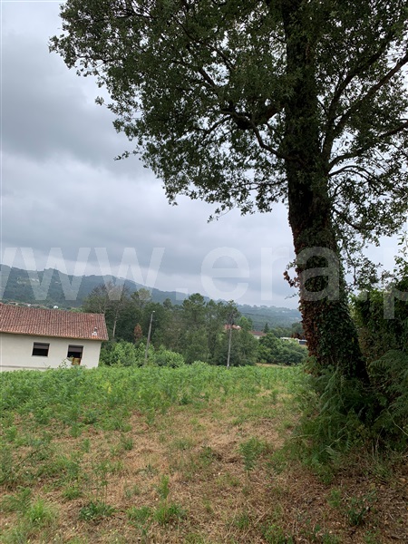 Terreno para Construção  Vila Verde, Pico - 1476502 - 10
