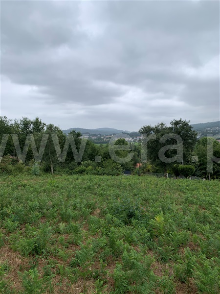 Terreno para Construção  Vila Verde, Pico - 1476502 - 13