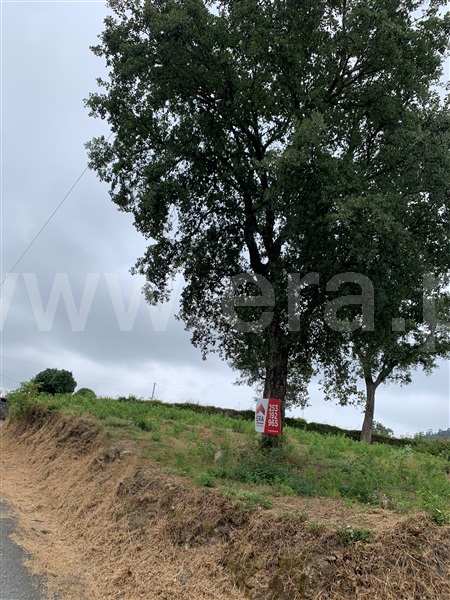 Terreno para Construção  Vila Verde, Pico - 1476502 - 15