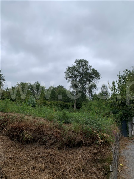 Terreno para Construção  Vila Verde, Pico - 1476502 - 16