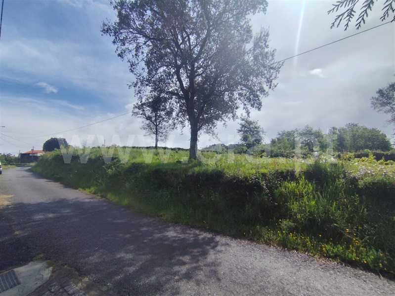 Terreno para Construção  Vila Verde, Pico - 1476502 - 8