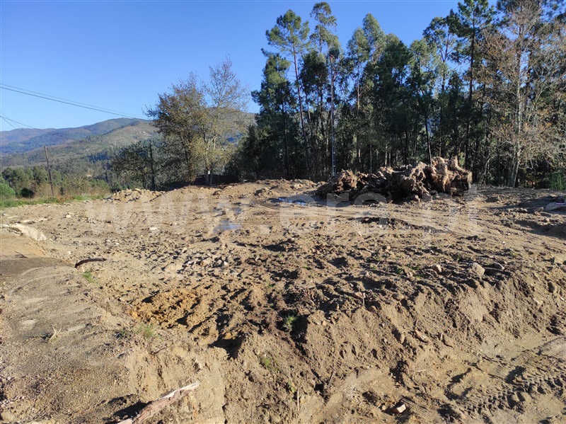 Terreno para Construção / Vila Verde, Ponte