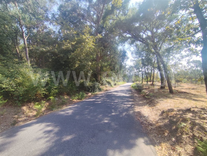 Terreno para Construção  Vila Verde, Turiz - 1499782 - 2