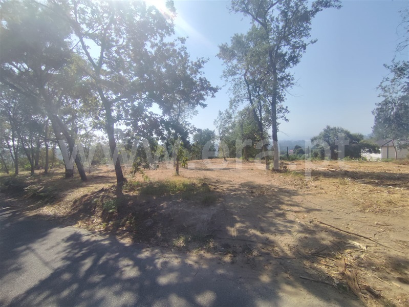 Terreno para Construção  Vila Verde, Turiz - 1499782 - 4