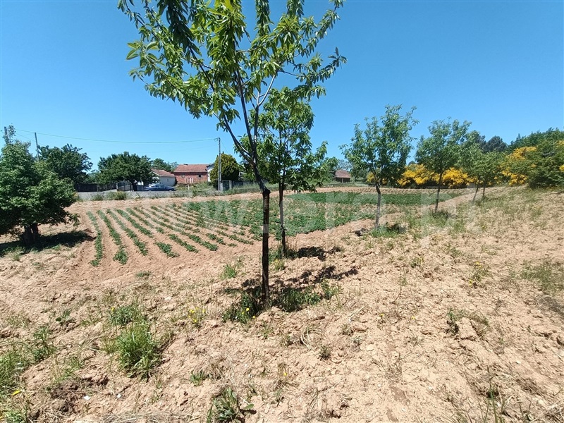 Terreno para Construção  Vinhais, Curopos e Vale de Janeiro - 1408939 - 2