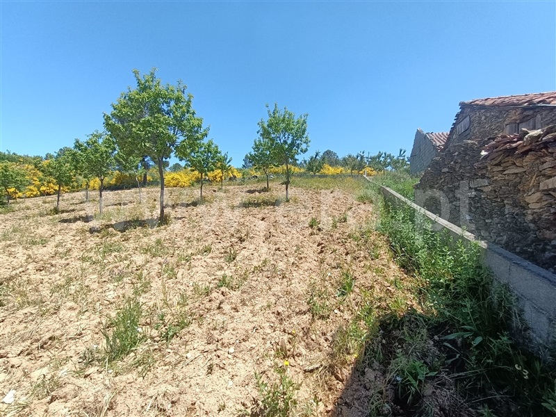 Terreno para Construção  Vinhais, Curopos e Vale de Janeiro - 1408939 - 6