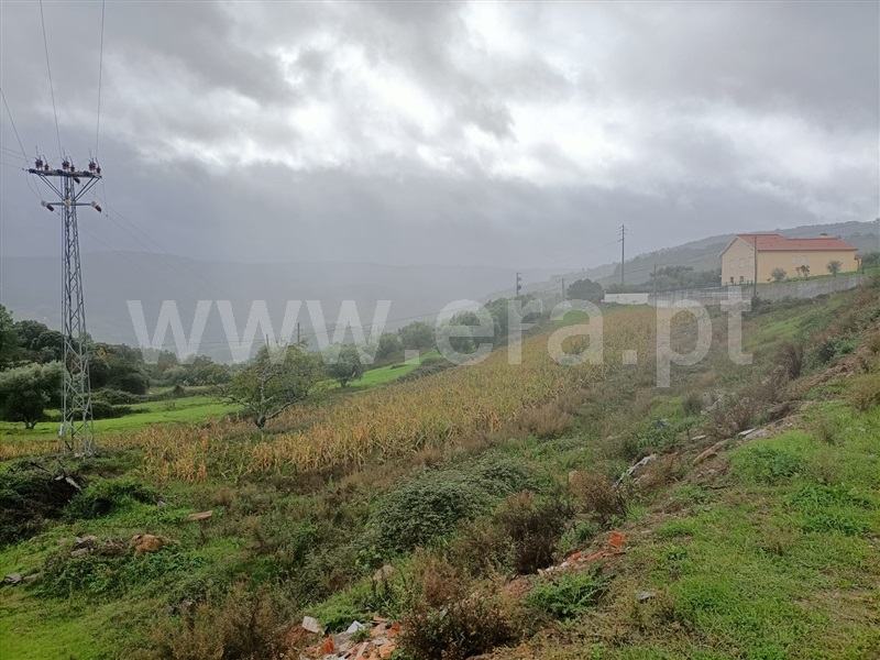 Terreno para Construção  Vinhais - 1362071 - 4