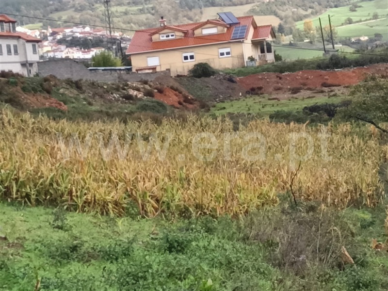Terreno para Construção  Vinhais - 1362071 - 6