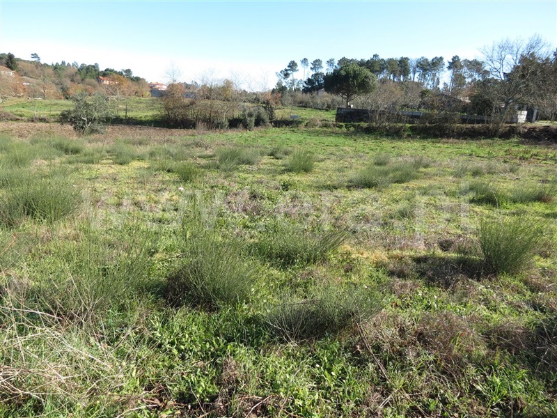 Terreno para Construção / Viseu, São João de Lourosa