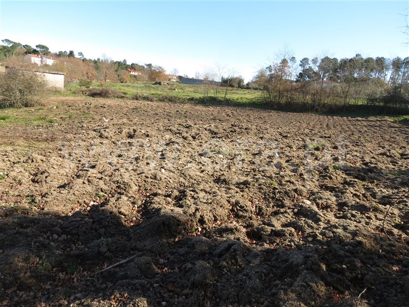 Terreno para Construção / Viseu, São João de Lourosa