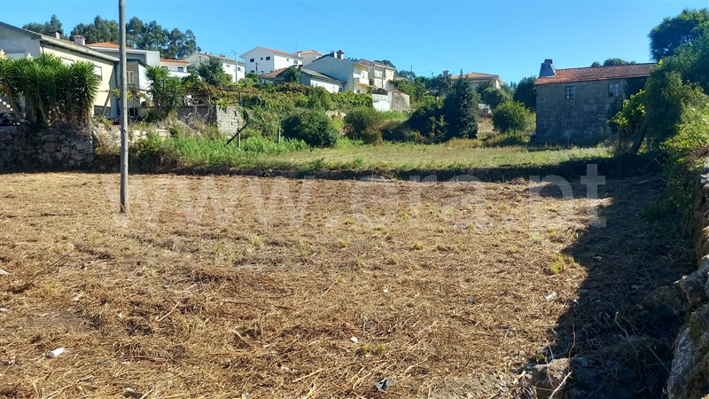 Terreno / Paredes, Baltar