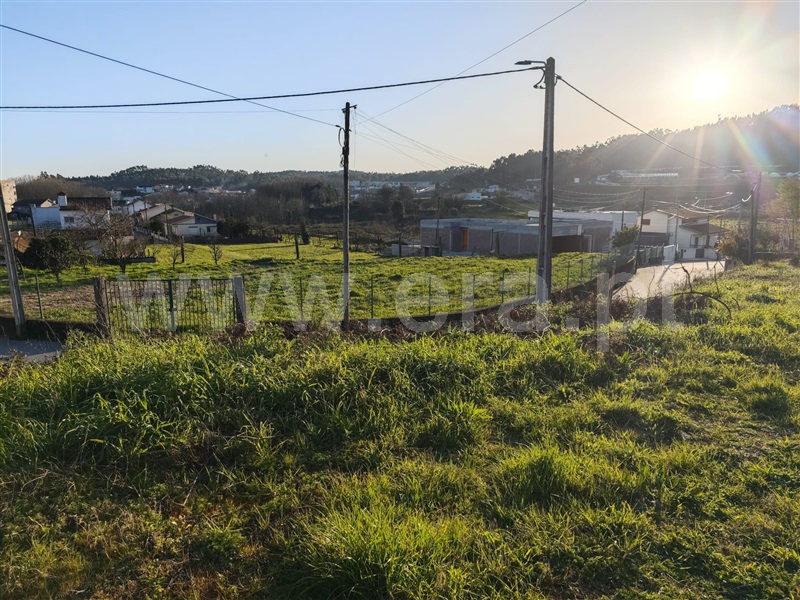 Terreno / Paredes, Baltar
