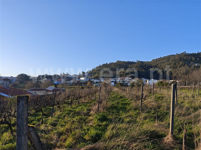 Terreno  Paredes, Baltar - 1460758 - 3