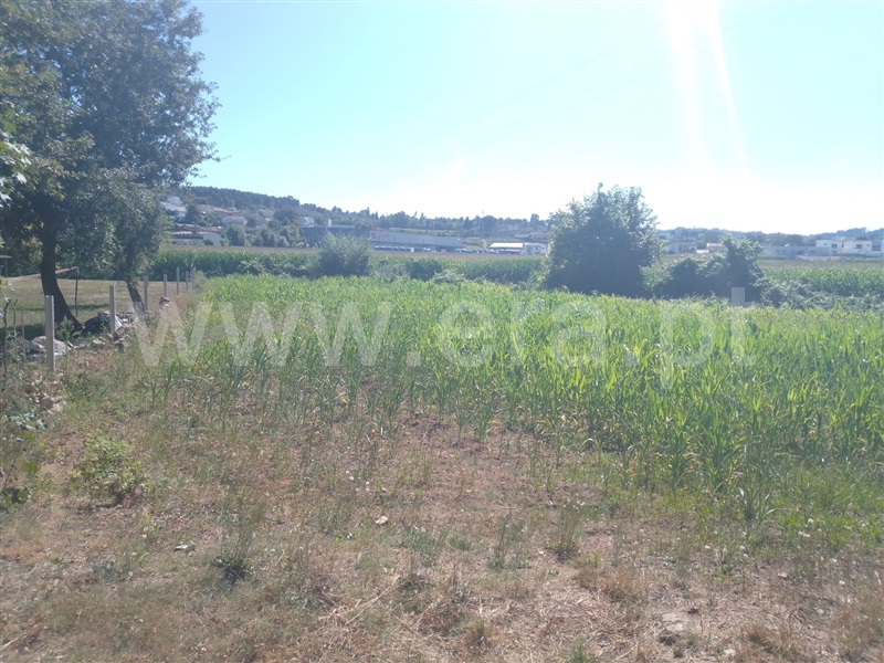 Terreno para Construção  Paredes, Beire - 1263679 - 2