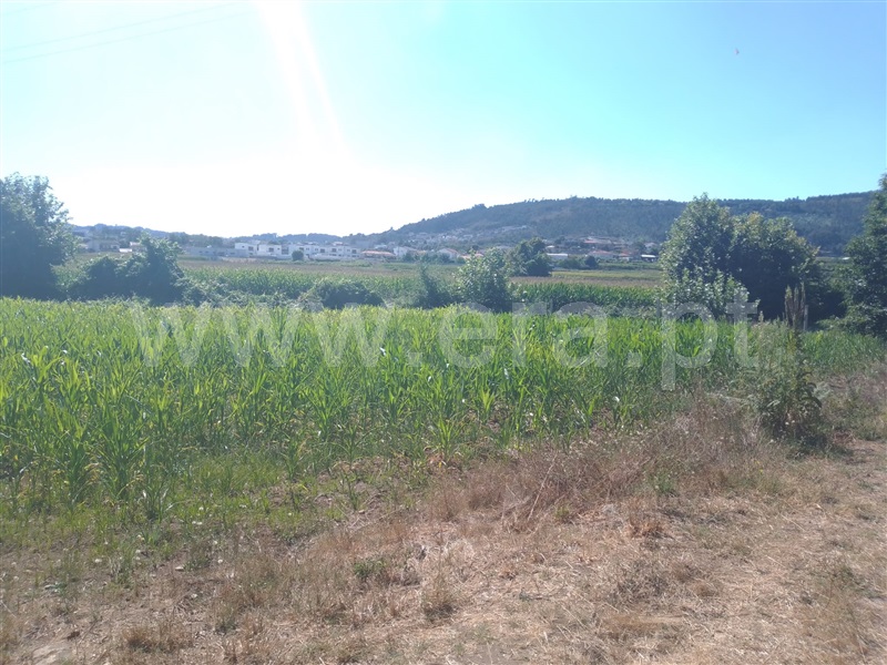 Terreno para Construção  Paredes, Beire - 1263679 - 3