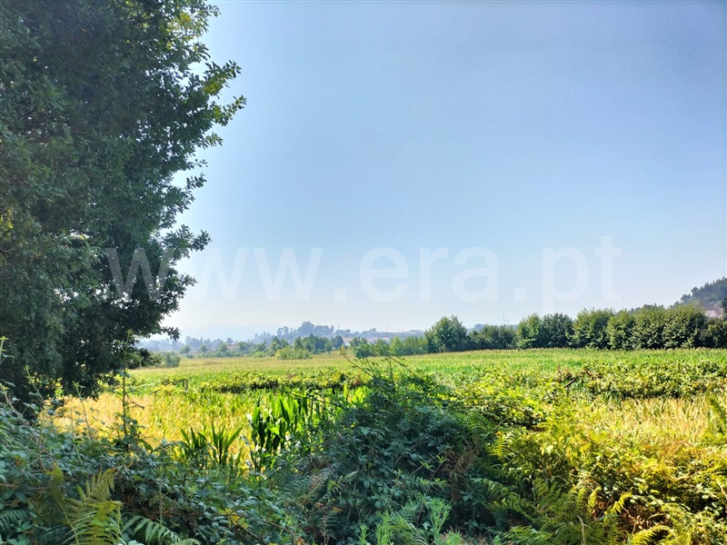 Terreno  Paredes, Beire - 1268711 - 2