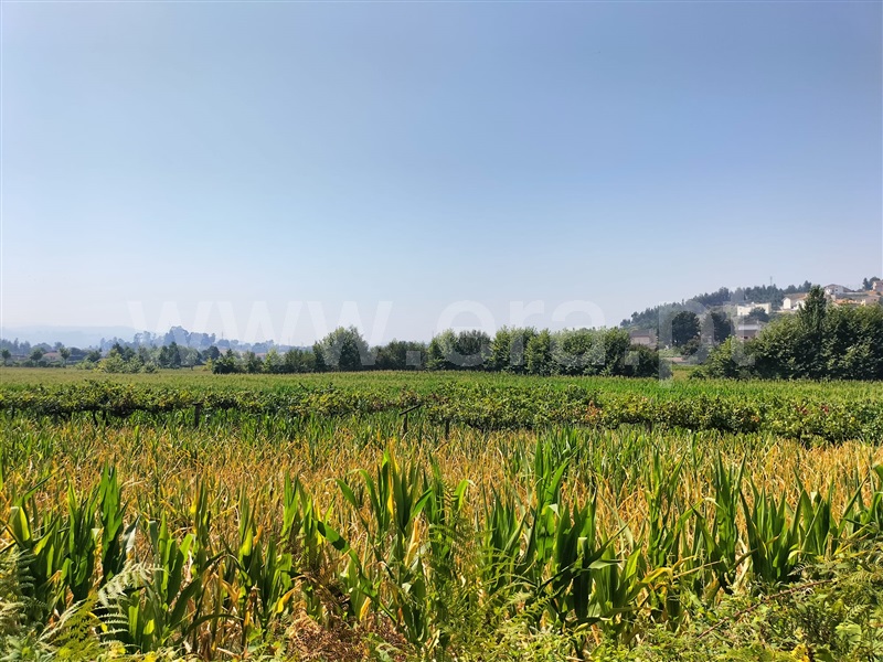 Terreno  Paredes, Beire - 1268711 - 4
