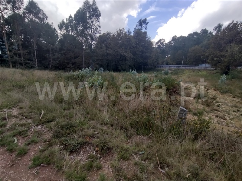 Terreno  Paredes, Beire - 1438186 - 3