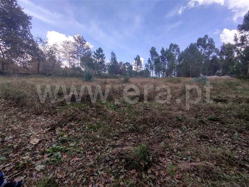 Terreno  Paredes, Beire - 1438186 - 4