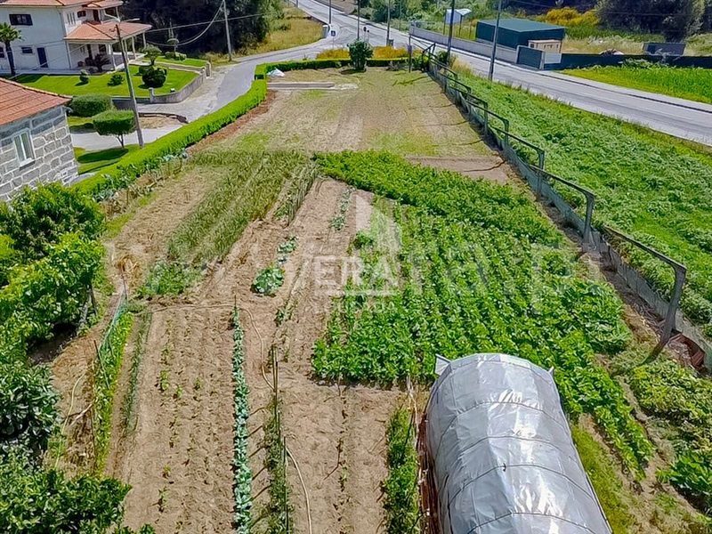 Terreno / Paredes, Beire