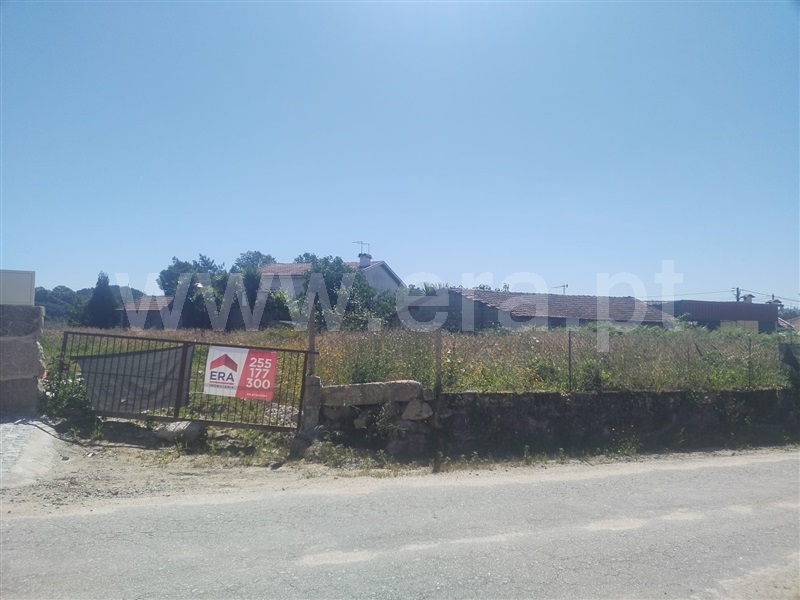 Terreno / Paredes, Beire
