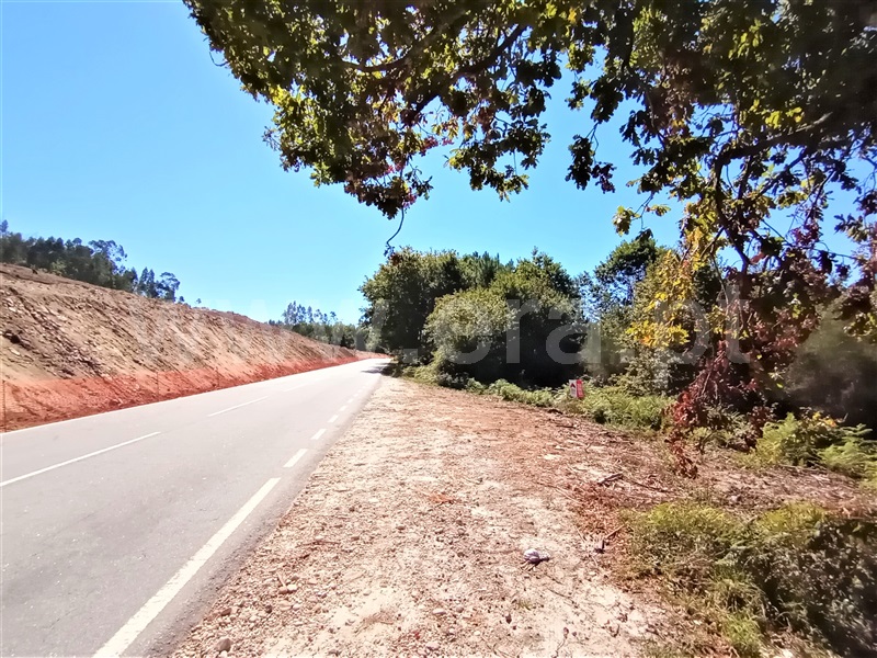 Terreno  Paredes de Coura, Cossourado e Linhares - 1113720 - 2