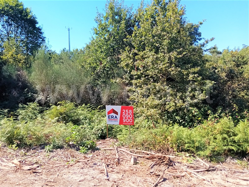 Terreno / Paredes de Coura, Cossourado e Linhares