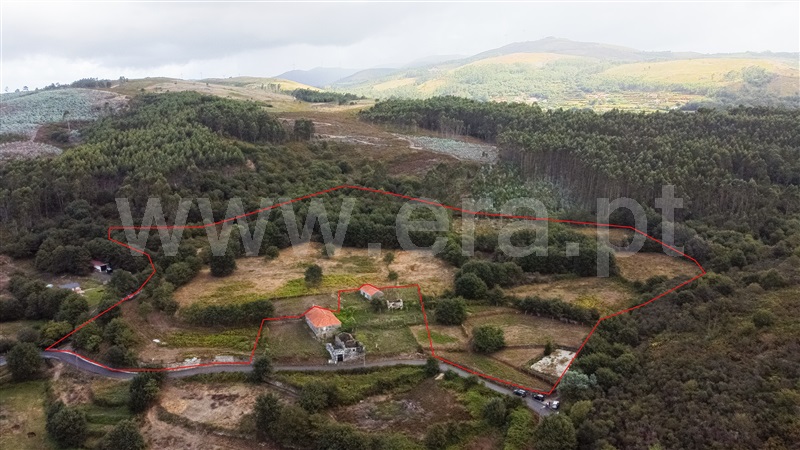 Terreno / Paredes de Coura, Cossourado e Linhares