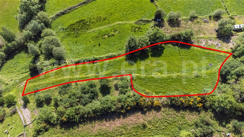 Terreno  Paredes de Coura, Formariz e Ferreira - 1478155 - 7