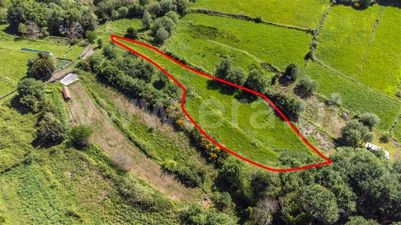 Terreno  Paredes de Coura, Formariz e Ferreira - 1478155 - 8