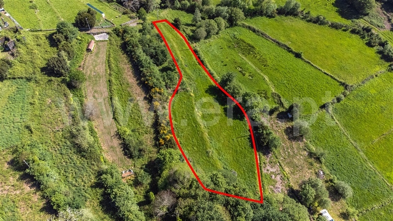 Terreno  Paredes de Coura, Formariz e Ferreira - 1478155 - 9