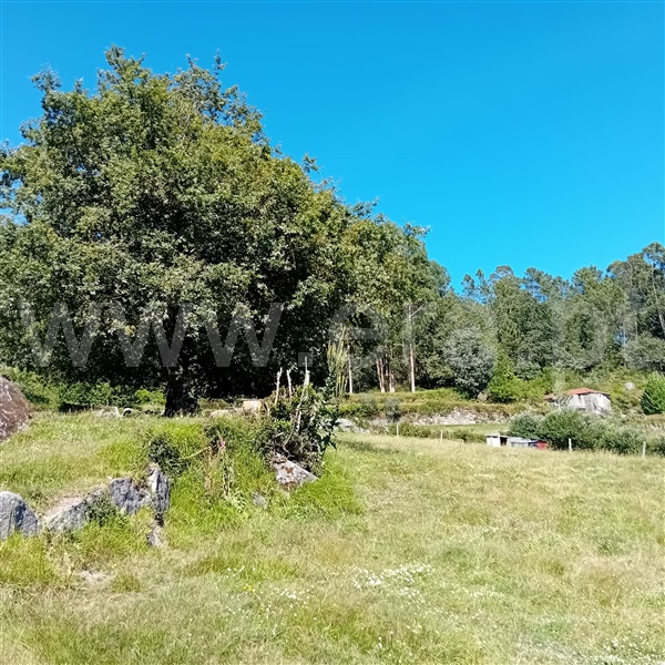 Terreno / Paredes de Coura, Parada