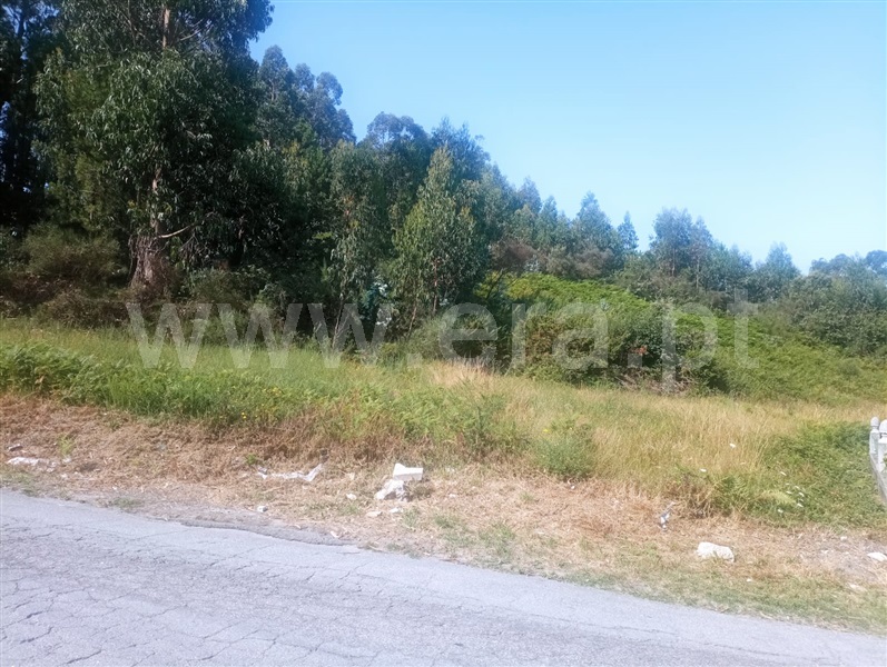 Terreno  Paredes, Duas Igrejas - 1343336 - 3