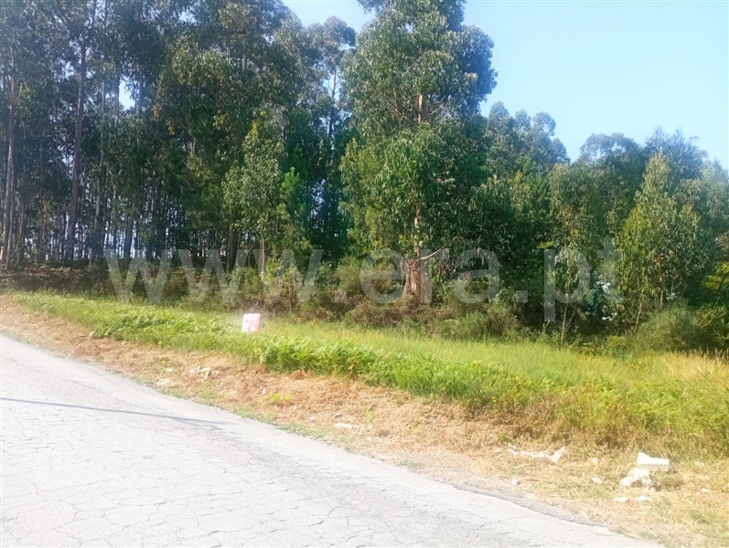Terreno  Paredes, Duas Igrejas - 1343336 - 4