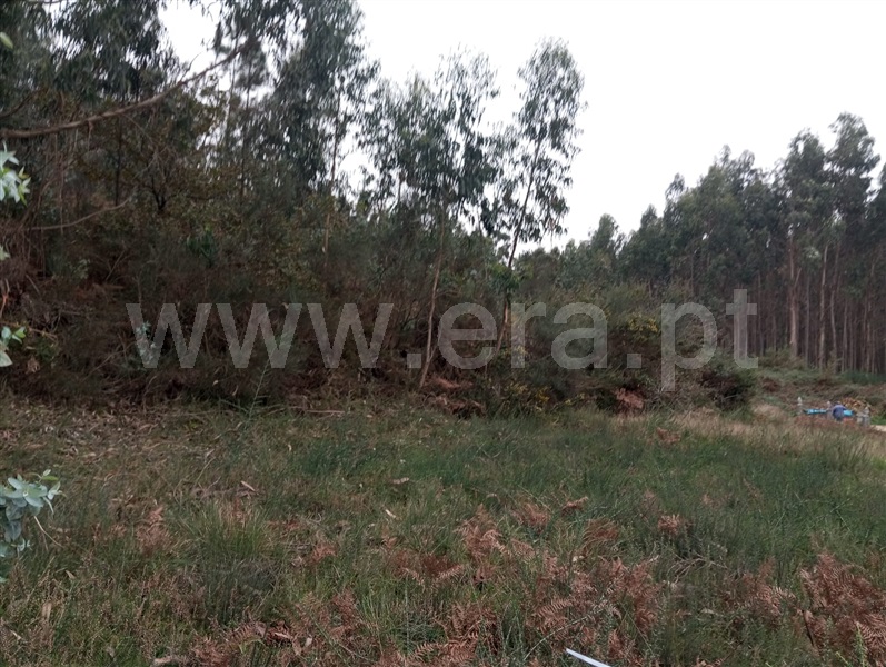 Terreno  Paredes, Duas Igrejas - 1343336 - 6