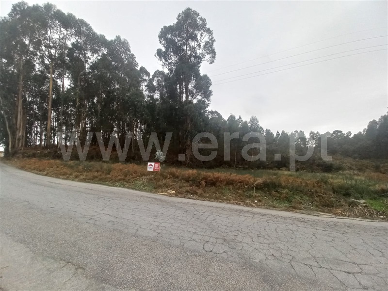 Terreno  Paredes, Duas Igrejas - 1343336 - 8