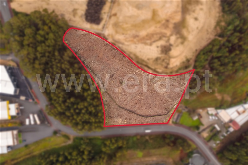 Terreno / Paredes, Lordelo