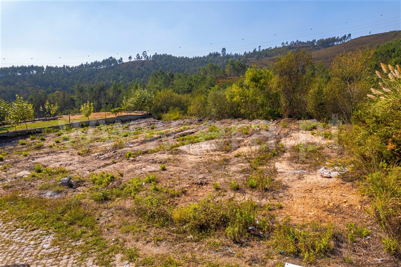 Terreno / Paredes, Lordelo