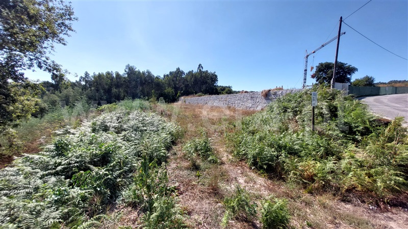 Terreno / Paredes, Louredo