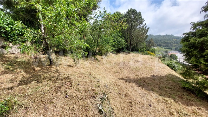 Terreno / Paredes, Louredo