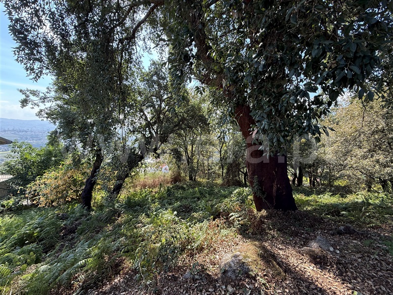 Terreno  Paredes, Louredo - 1510990 - 5