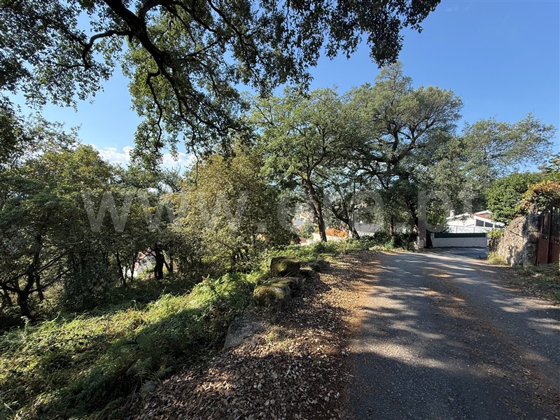 Terreno  Paredes, Louredo - 1510990 - 6