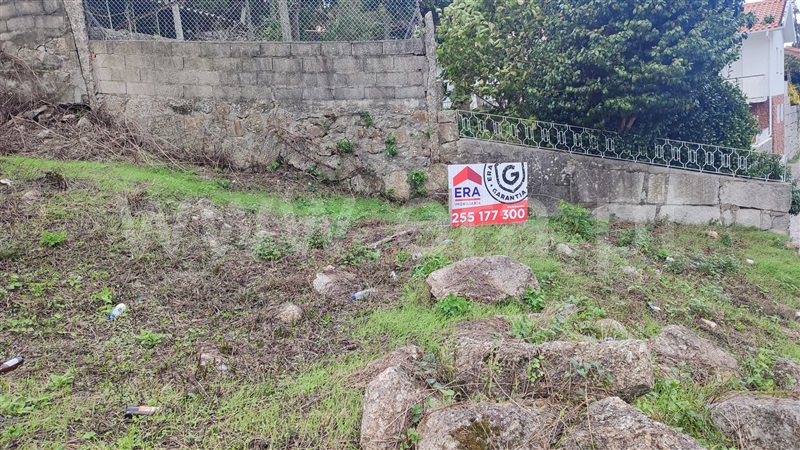 Terreno / Paredes, Parada de Todeia