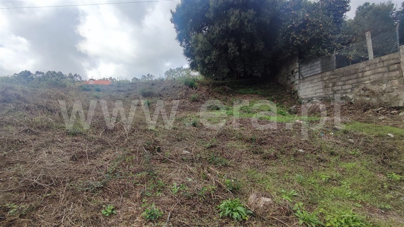 Terreno  Paredes, Parada de Todeia - 1436502 - 5