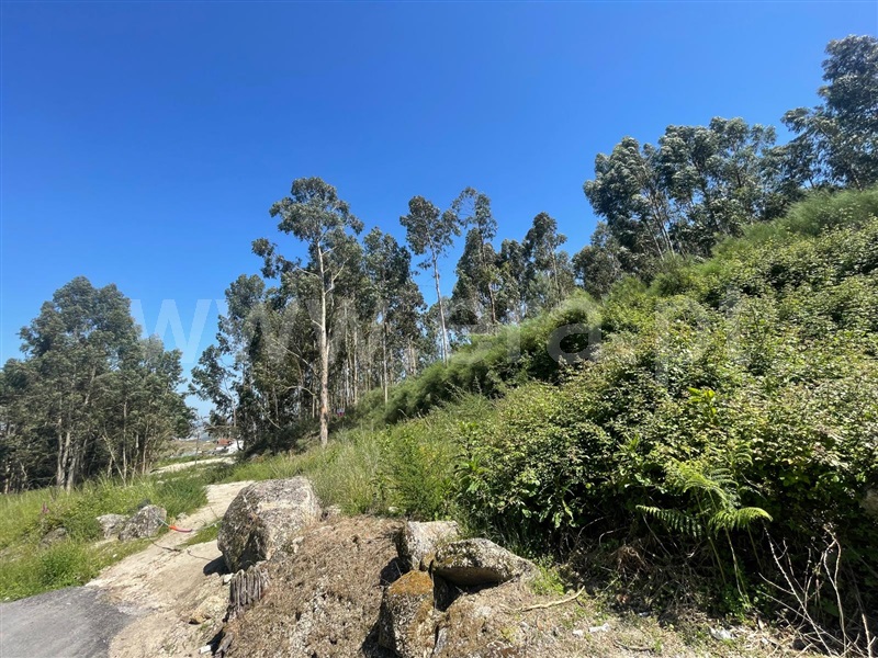 Terreno  Paredes - 1406442 - 4