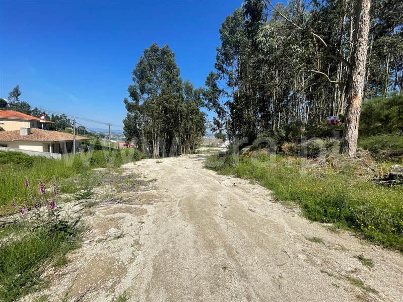 Terreno  Paredes - 1406442 - 5