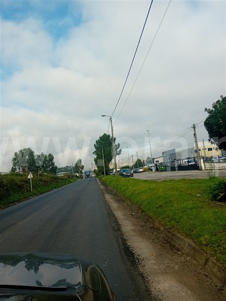 Terreno / Paredes, Paredes