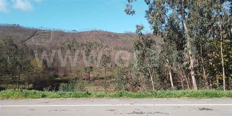 Terreno  Paredes, Paredes - 1471122 - 2