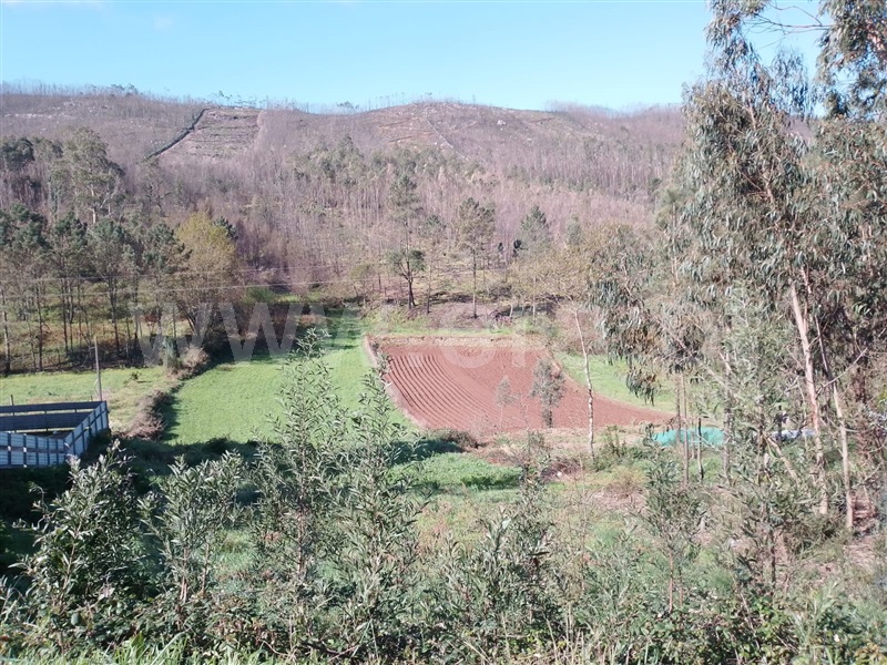 Terreno / Paredes, Paredes